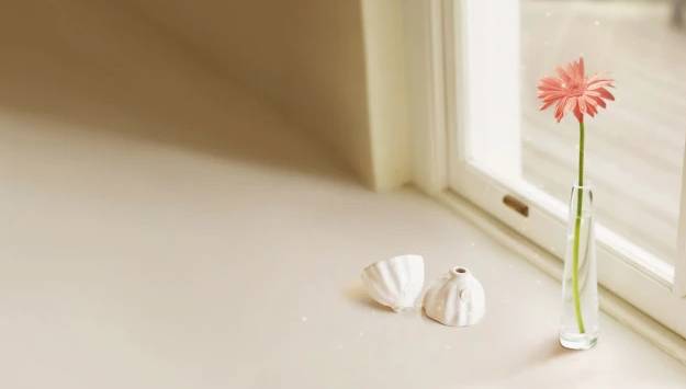 短信驗證碼哪家好？